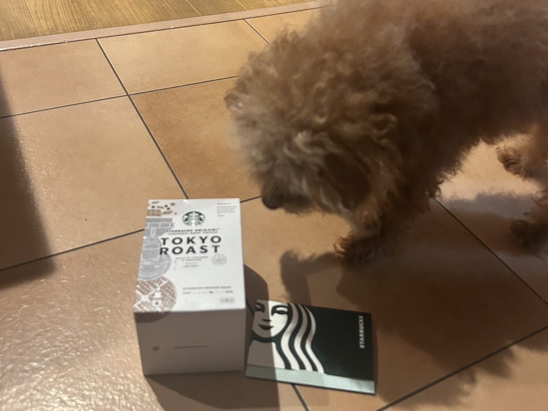 　　🎁誕生日プレゼントを頂きました！🎁